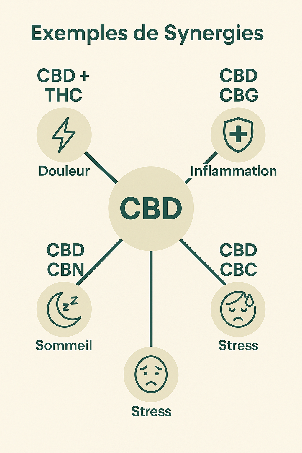 Exemples de synergies (CBD + THC, CBD + CBG, etc.)
