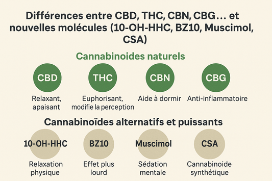 Différences entre CBD, THC, CBN, CBG…