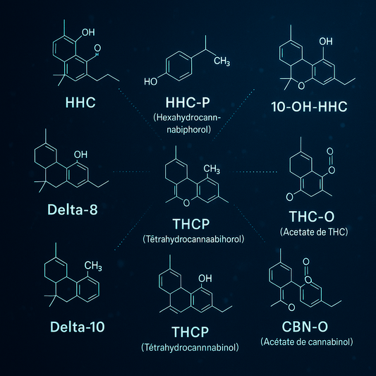 Cannabinoïdes puissants / semi-synthétiques → HHC, HHC-P, 10-OH-HHC, THC-O, Delta-8, Delta-10, THCP, CBN-O