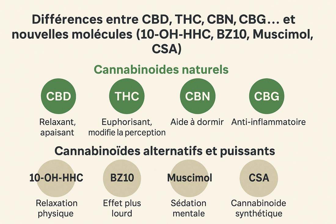 Différences entre CBD, THC, CBN, CBG…